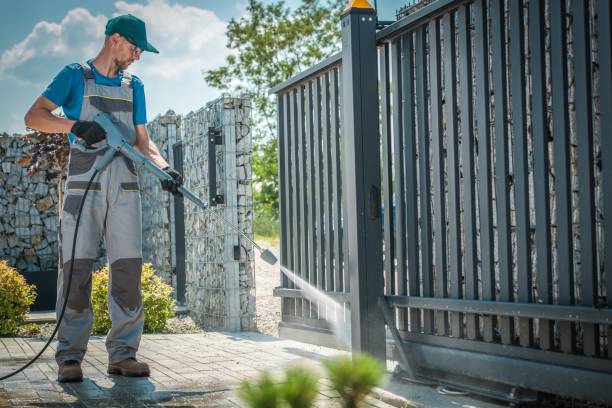Animal Enclosure Cleaning in Bagdad, FL